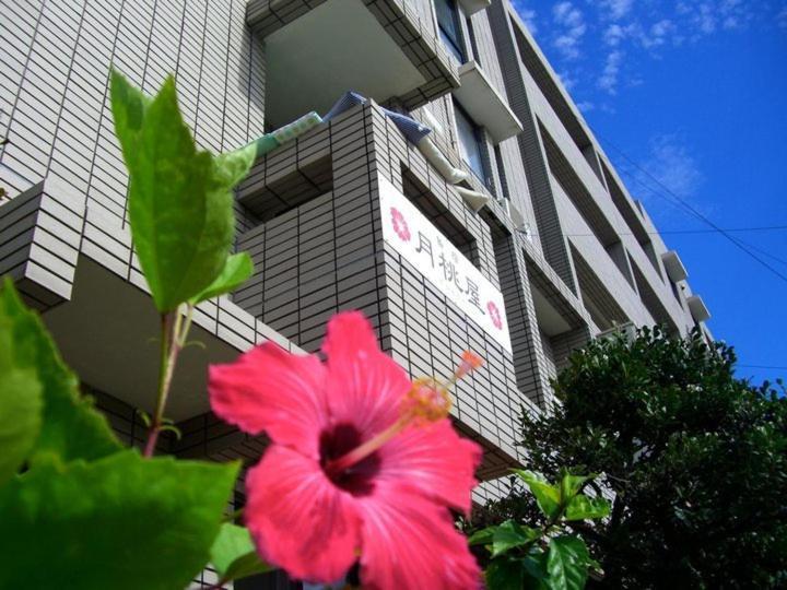Shimayado Gettoya Ishigaki  ภายนอก รูปภาพ